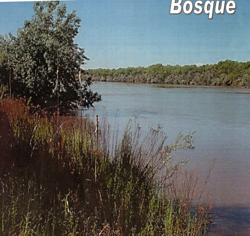 Jardines de Bosque: An Archive and History