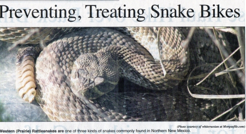 Preventing, Treating Snake Bites