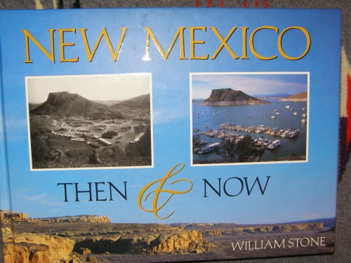 Review of &quot;New Mexico--Then and Now&quot;